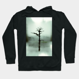 Reflections On The Lake Hoodie